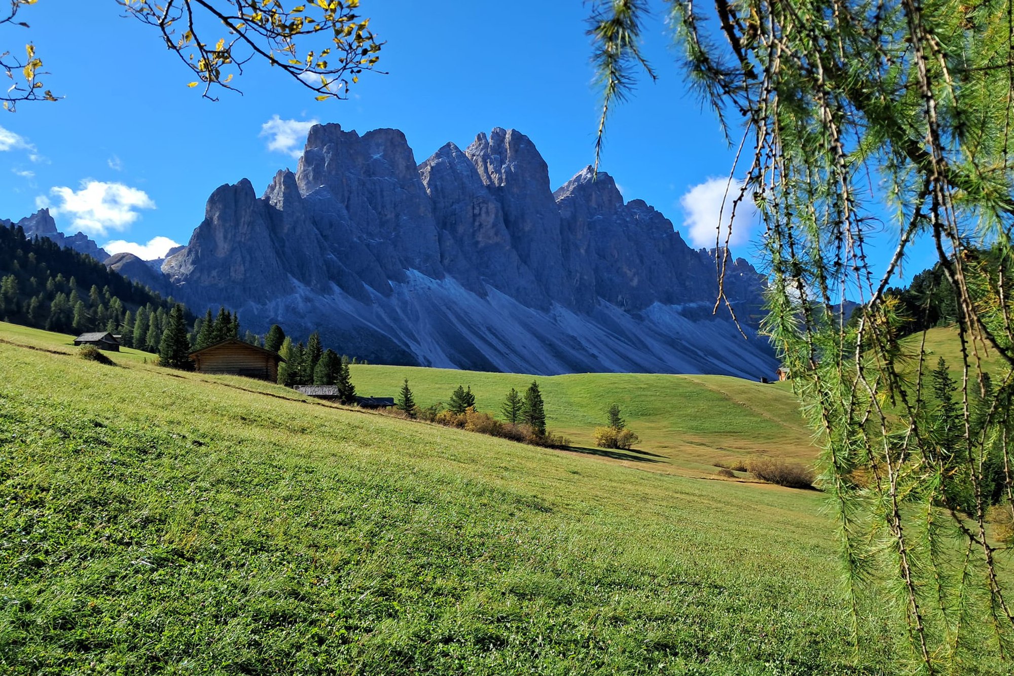 weissbrunn